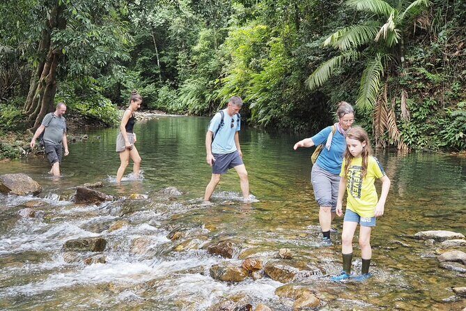 Half Day Koh Chang Jungle Trek for Families and Beginners - The Highlight: The Hidden Natural Pool