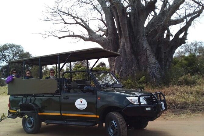 Half Day Kruger Open Vehicle Safari from Marloth Park - An In-Depth Look at the Safari Experience