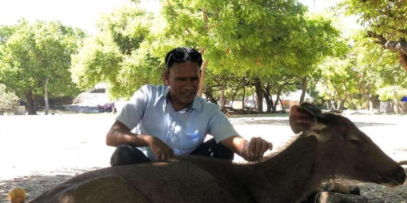 half-day-kumana-national-park-4-x-4-wheel-safari