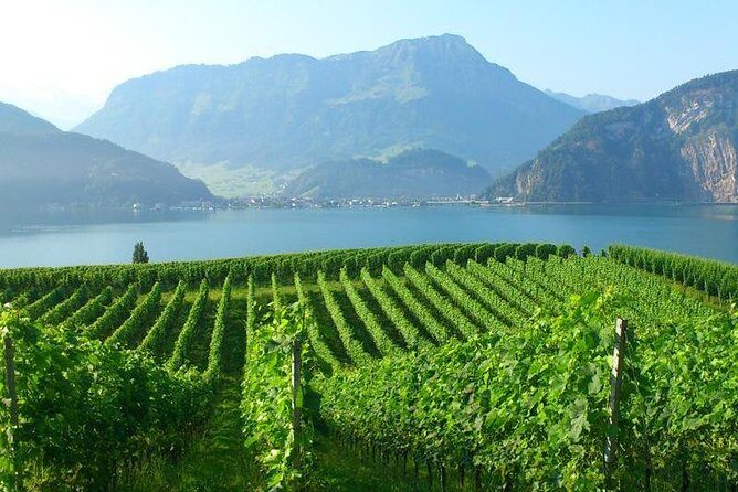 Half-Day Lake Lucerne Country Walk - Key Points