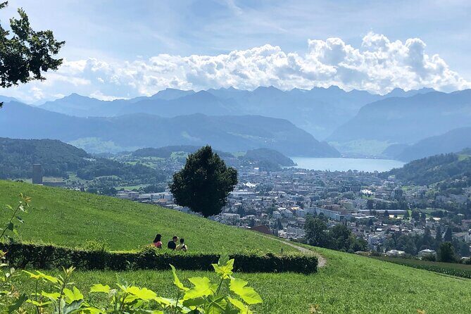Half-Day Lake Lucerne Country Walk - Practical Details & Value