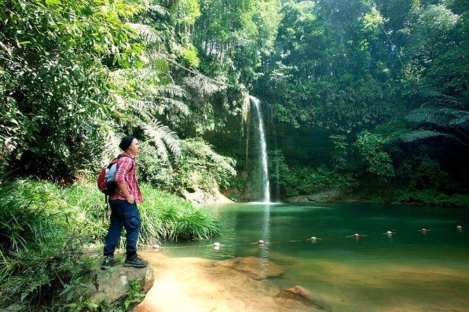 Half-Day Lambir Hills National Park Tour from Miri - Who is this tour best for?