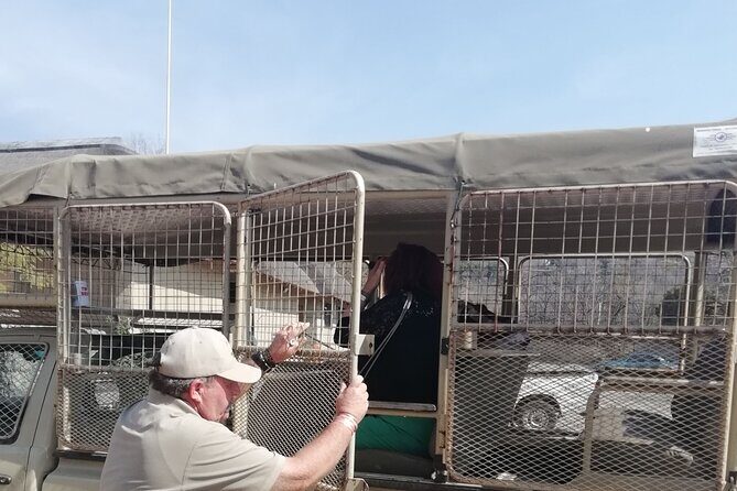 Half-Day Lion and Safari Park Tour - The Sum Up: A Solid Choice for a Brief Wildlife Fix