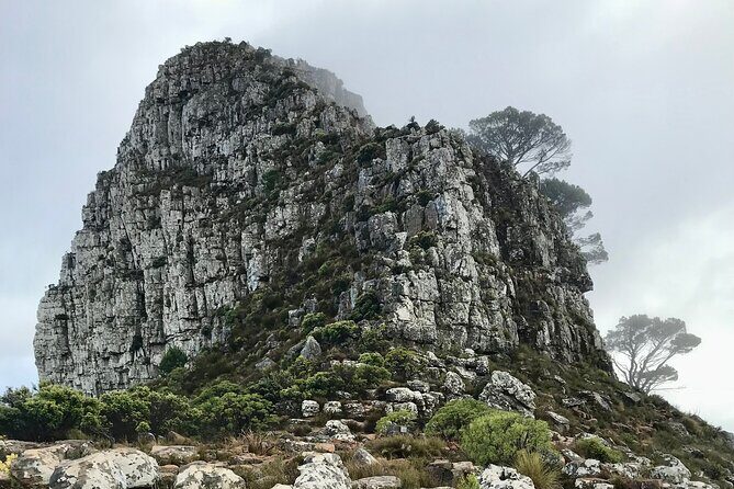 Half-day Lion's Head Hike in Cape Town - Frequently Asked Questions