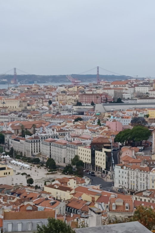 half-day-lisbon-tour-small-group-through-the-city-of-7-hills