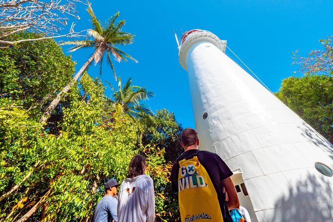 Half Day Low Isles Snorkelling Tour from Port Douglas - Discover the Beauty of the Low Isles with a Half-Day Snorkelling Tour from Port Douglas