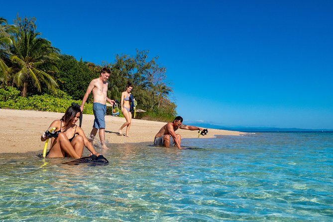 Half Day Low Isles Snorkelling Tour from Port Douglas - Key Points