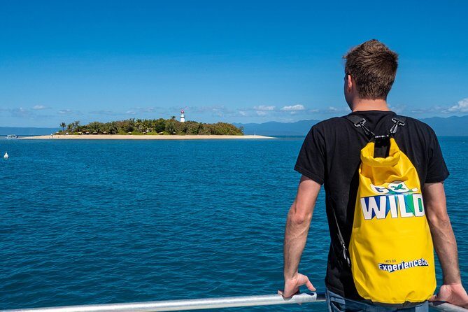 Half Day Low Isles Snorkelling Tour from Port Douglas - Practical Details: Transportation, Timing, and Group Size