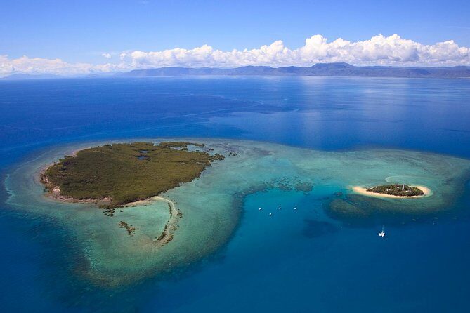Half Day Low Isles Snorkelling Tour from Port Douglas - Authentic Experiences from Real Travelers
