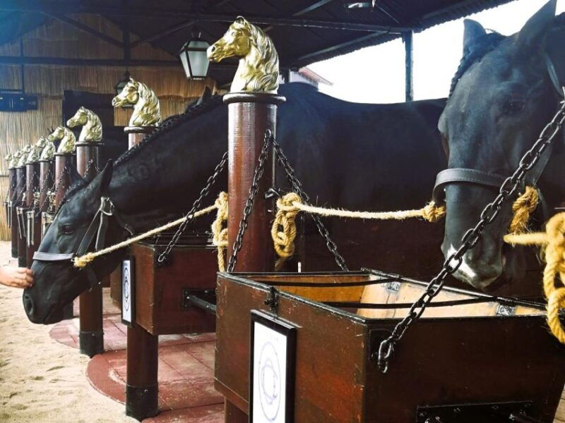 half-day-lusitanian-horses-photography-museum-private-tour