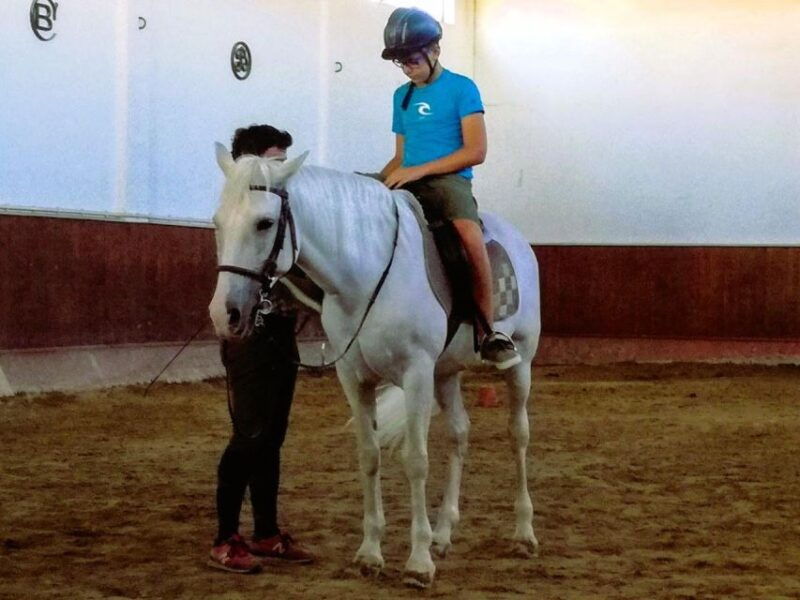 half-day-lusitanian-horses-photography-museum-private-tour