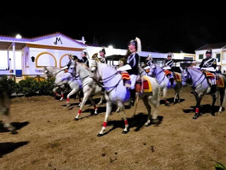 half-day-lusitanian-horses-photography-museum-private-tour