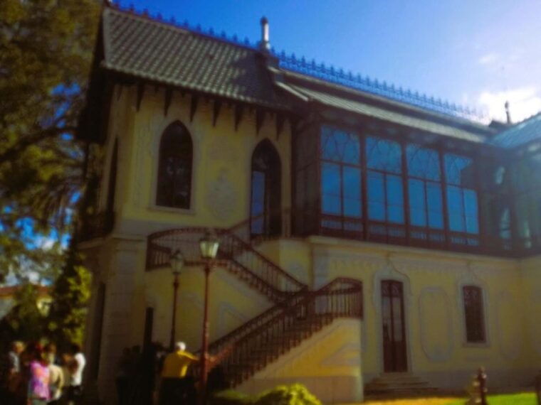 half-day-lusitanian-horses-photography-museum-private-tour