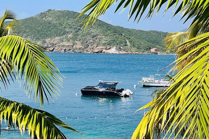 half-day-luxury-catamaran-turtle-snorkel-and-beach