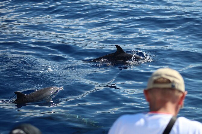 half-day-madeira-island-cruise-with-lunch