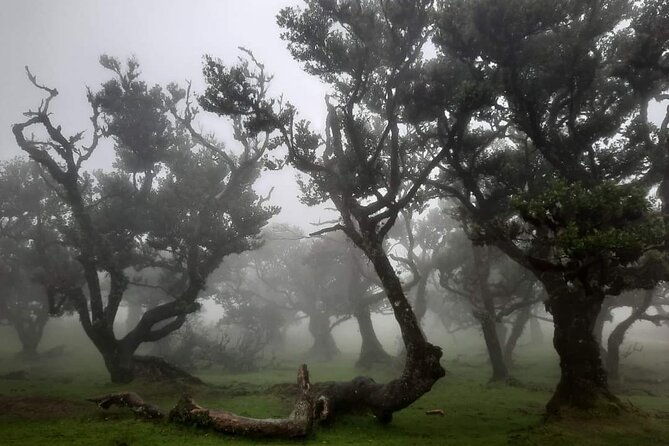 half-day-madeira-west-tour