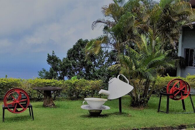 Half-Day Mahe private Tour - What to Expect on the Tour