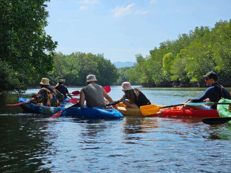 half-day-mangrove-forest-morning-or-afternoon