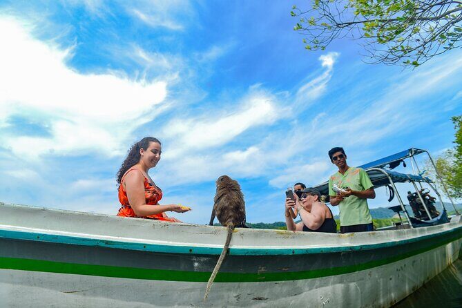 Half Day Mangrove Kayaking Adventure Tour From Koh Lanta - In-Depth Look at the Experience