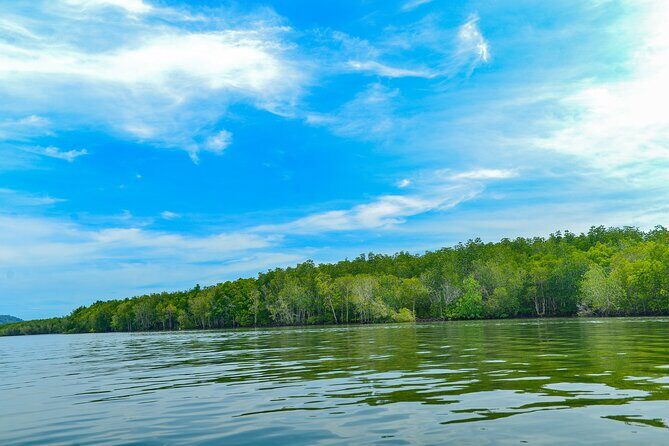 Half Day Mangrove Kayaking Adventure Tour From Koh Lanta - FAQs