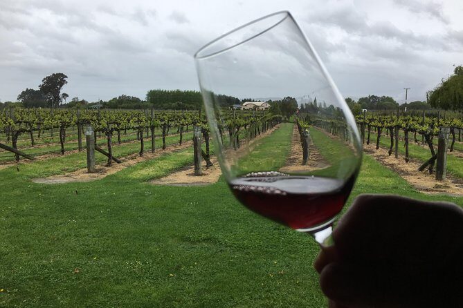 Half-Day Marlborough Wine Tour & Beer Tour - Exploring the Marlborough Wine & Beer Tour