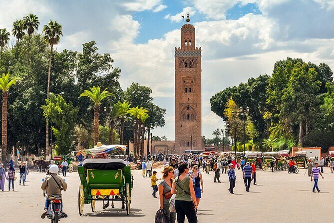 Half-Day Marrakech Highlights: Medina, Palaces, and More - Key Points