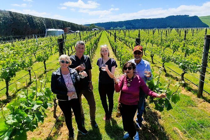 Half Day Martinborough Winery Tour from Wellington - The Value and Who It’s Best For