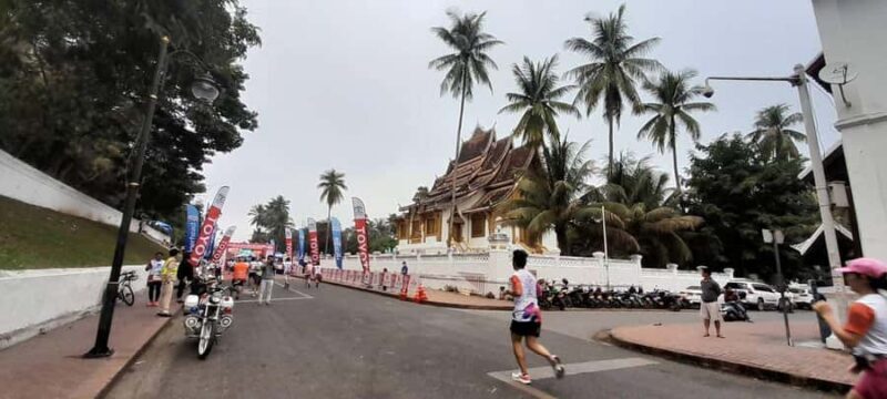 Half Day Mekong Cruise to Pak Ou Caves (Morning / Afternoon) - Key Points