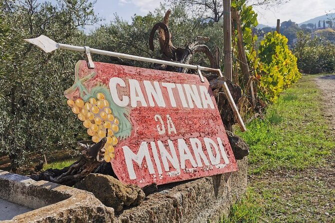 half-day-minardi-wine-and-food-tour-in-frascati