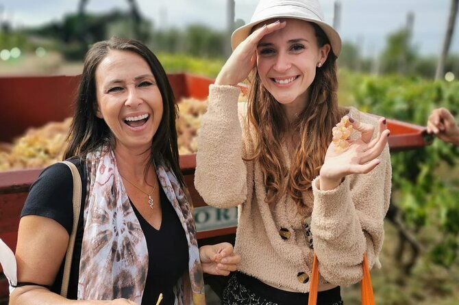 half-day-minardi-wine-and-food-tour-in-frascati