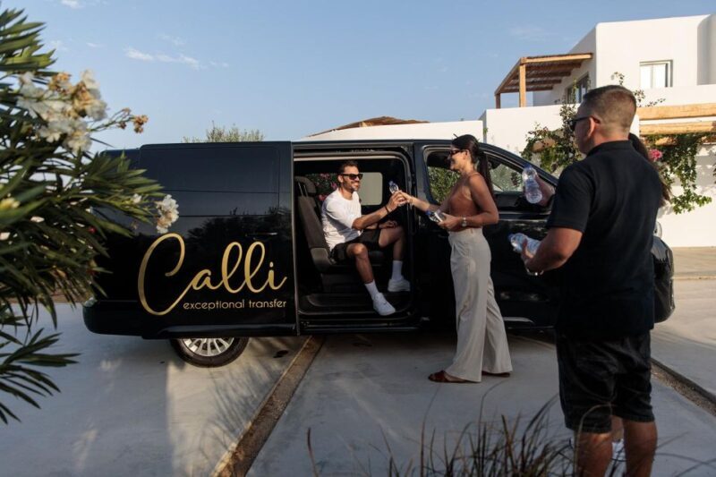Half-Day Minivan Rental with Driver - What to Expect on Your Naxos Self-Directed Tour