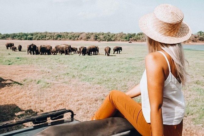 Half Day Minneriya National Park Safari from Sigiriya - Key Points