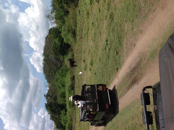 Half Day - Minneriya National Park Safari Tour From Habarana/Sigiriya - An In-Depth Look at the Minneriya Safari Experience
