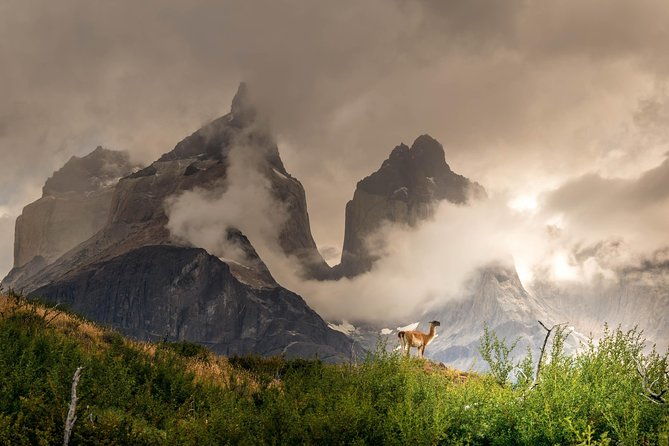 half-day-mirador-cuernos-del-paine-minimum-2-pax