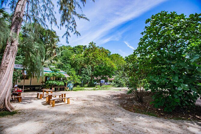 Half-Day Morning Bamboo Island Tour from Phi Phi by Longtail Boat - Who Is This Tour Best For?