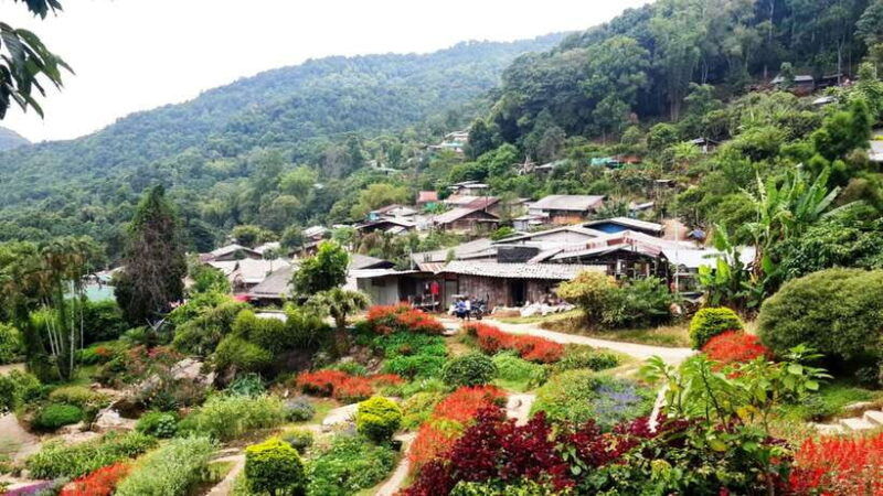half-day-morning-doi-suthep-doi-pui-meo-village-with-guide