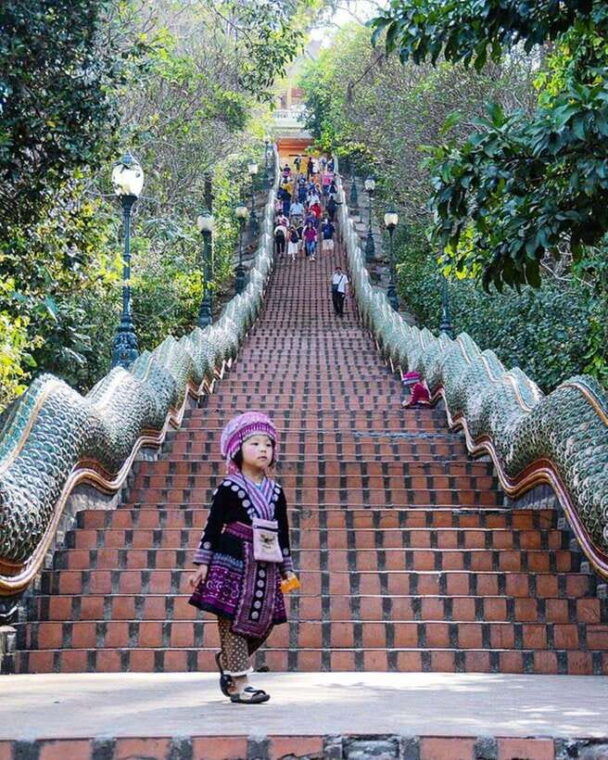 half-day-morning-doi-suthep-doi-pui-meo-village-with-guide