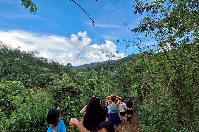 Half Day Morning Elephant Observation Tour in Chiang Mai - An Introduction to the Experience