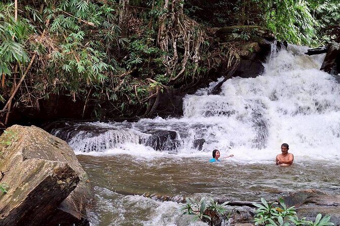 Half Day Morning Elephant Observation Tour in Chiang Mai - The Genuine Value of This Tour
