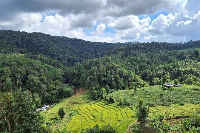Half Day Morning Elephant Observation Tour in Chiang Mai - Final Words