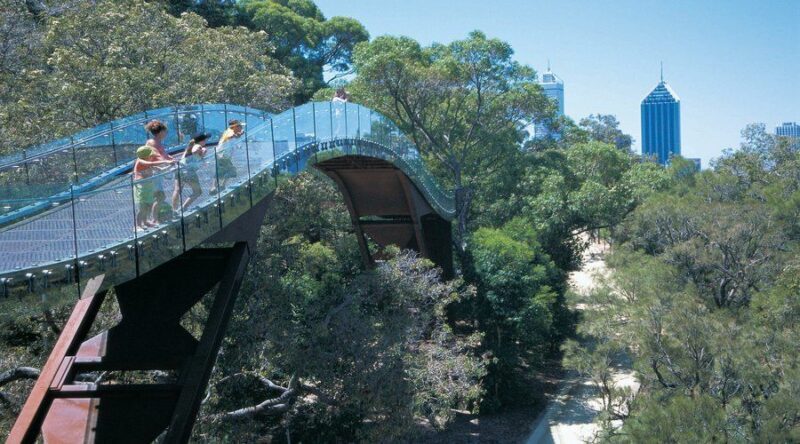 Half-Day Morning Perth & Fremantle City Explorer - The Value of This Tour