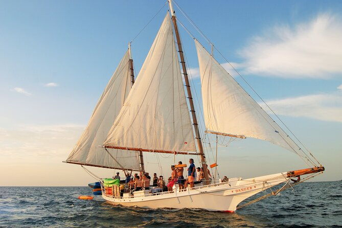 half-day-morning-trip-from-key-west-with-kayaking-and-snorkeling-2