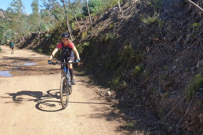 half-day-mountain-bike-tour-in-porto