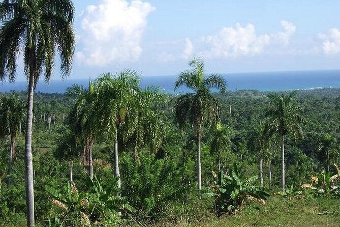 half-day-mountain-ride-in-puerto-plata