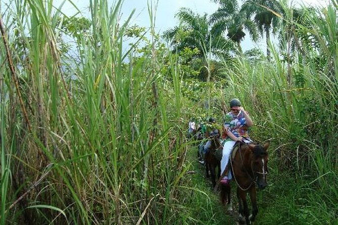 half-day-mountain-ride-in-puerto-plata