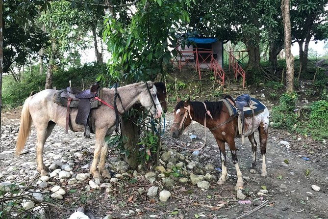 half-day-mountain-ride-in-puerto-plata