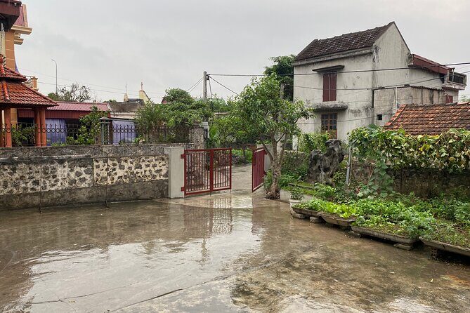 Half Day: Mua Cave - Hoa Lu Ancient Capital and Food Tour - An In-Depth Look at the Tour Itinerary