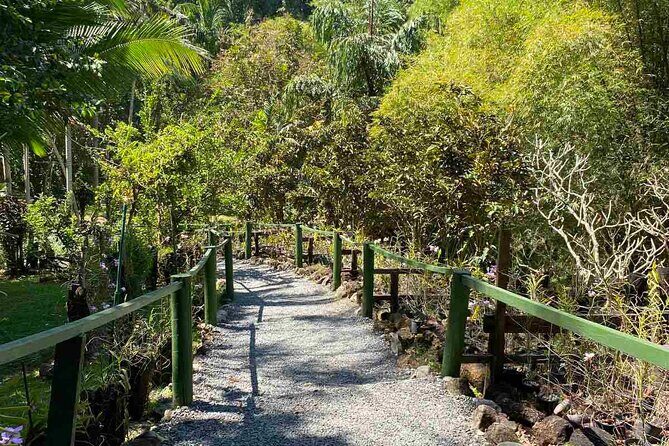 Half Day Nadi Tour Temple, Market, Gardens and Mud Pools - An In-Depth Look at the Tour Itinerary