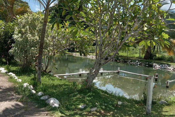 Half Day Nadi Tour Temple, Market, Gardens and Mud Pools - Final Thoughts