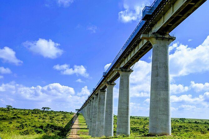 Half Day Nairobi National park - What Sets This Tour Apart?